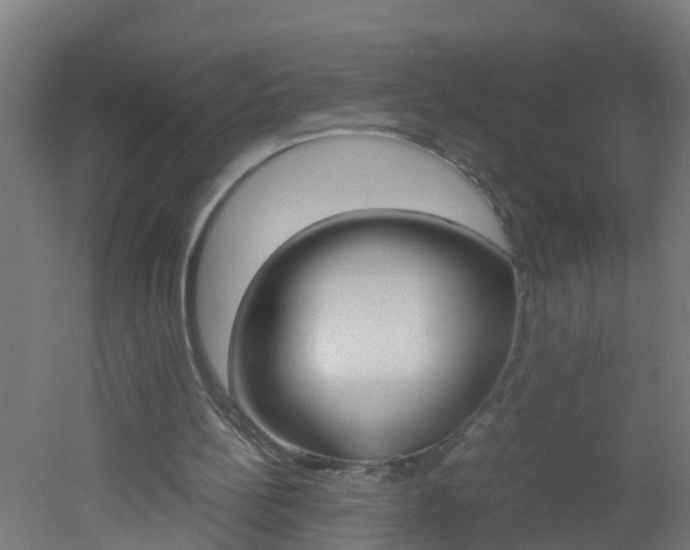 X0000051870148200506241037