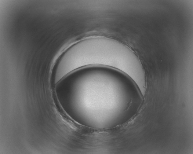 X0000051870150200506241037