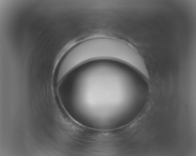 X0000051870152200506241037