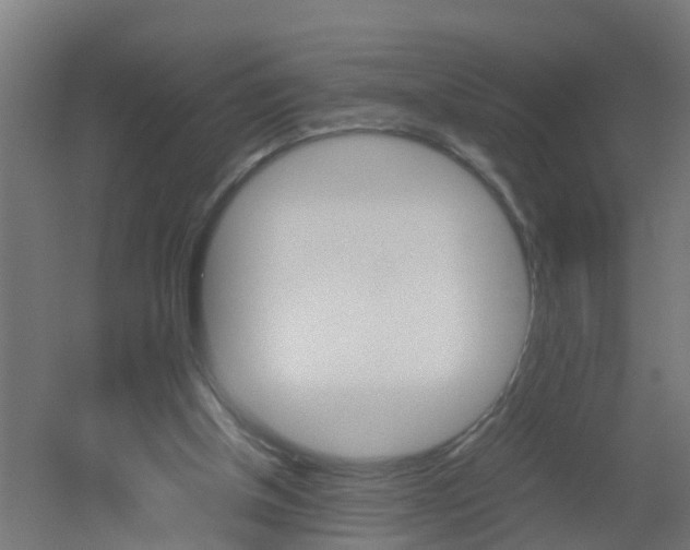 X0000051870154200506241037