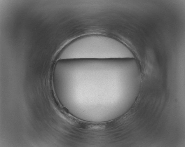 X0000051870155200506241037