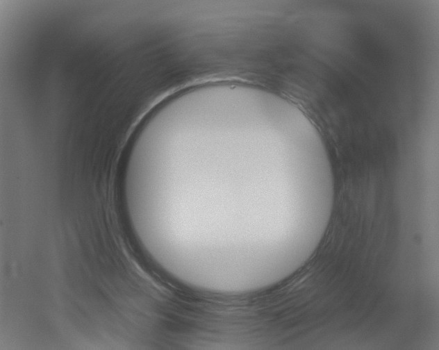 X0000051870156200506241037
