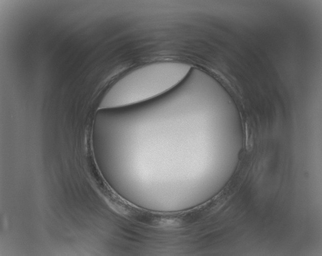 X0000051870157200506241037