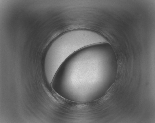 X0000051870158200506241037