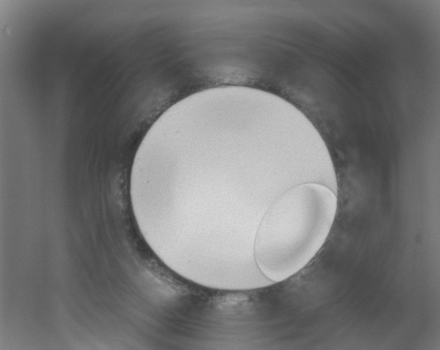 X0000051870162200506241037
