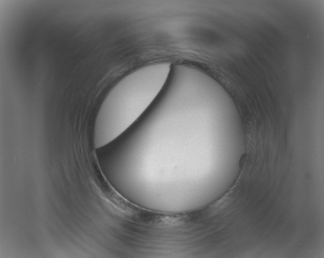 X0000051870166200506241037