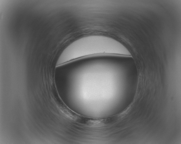 X0000051870170200506241037