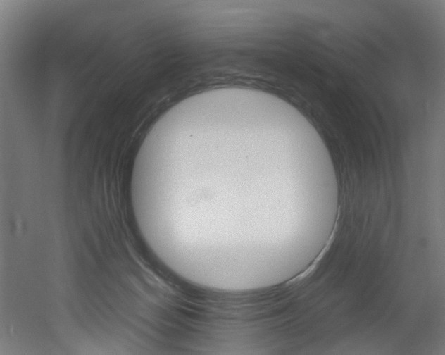 X0000051870174200506241037