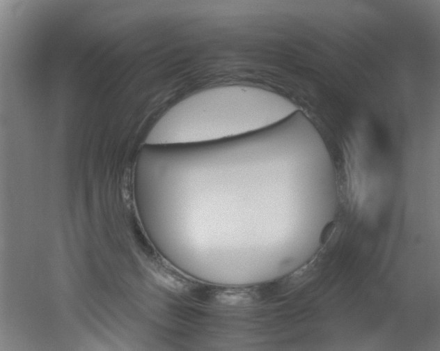 X0000051870175200506241037