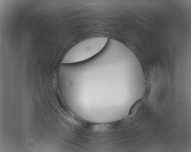 X0000051870179200506241038