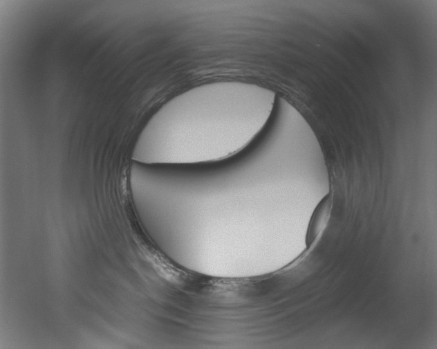 X0000051870190200506241038