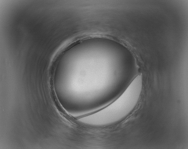 X0000051870197200506241037