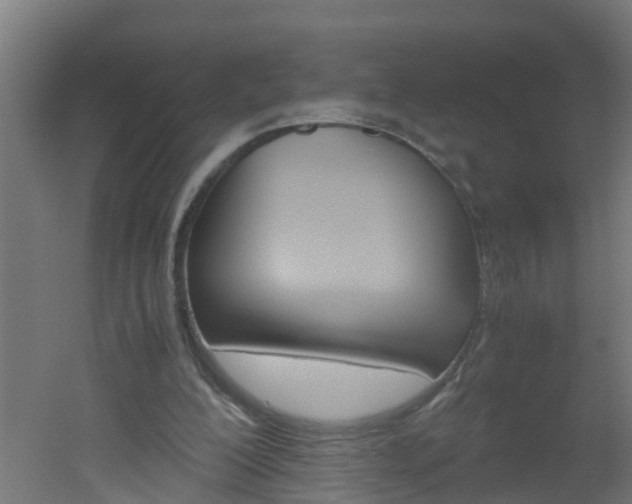 X0000051870200200506241037