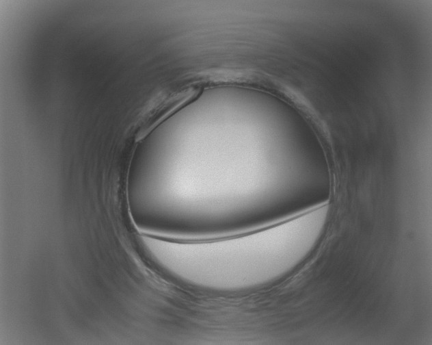 X0000051870201200506241037