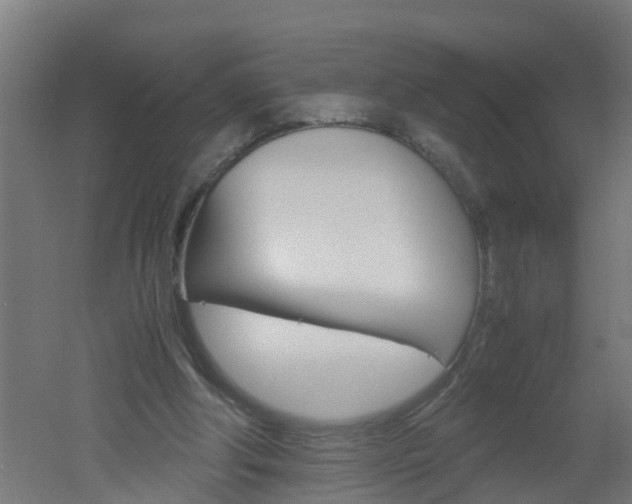X0000051870202200506241037