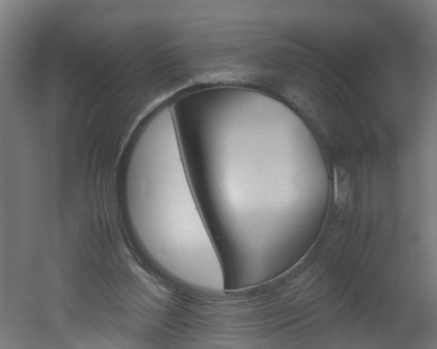 X0000051870204200506241037