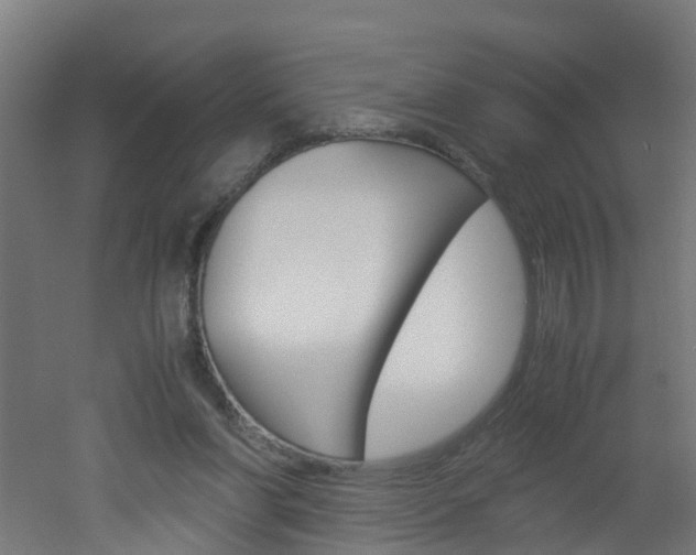 X0000051870206200506241037