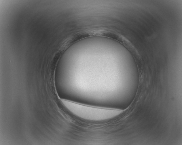 X0000051870209200506241037