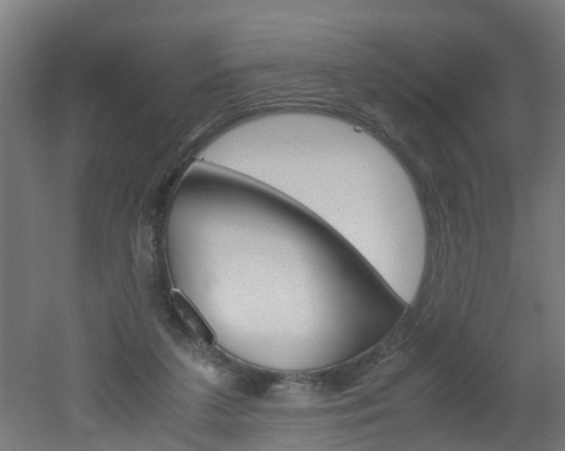 X0000051870211200506241037