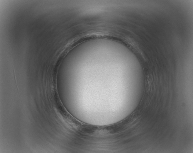 X0000051870212200506241037