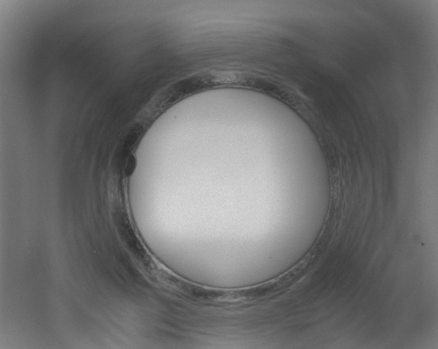 X0000051870213200506241037