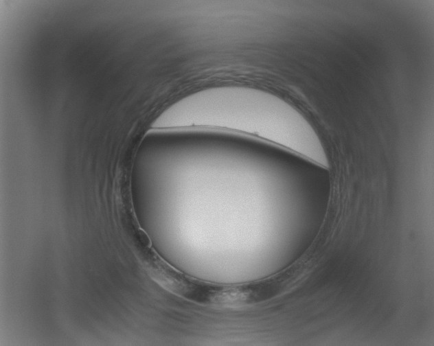 X0000051870217200506241037