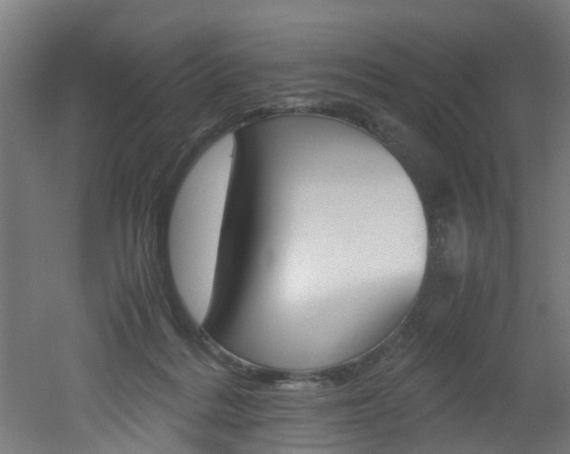 X0000051870220200506241037