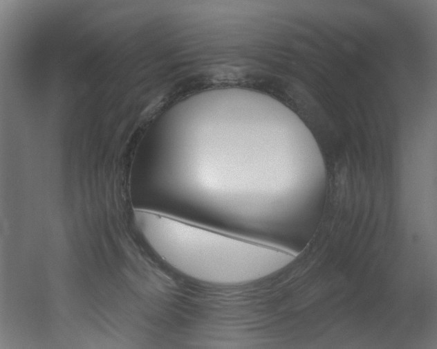 X0000051870228200506241036