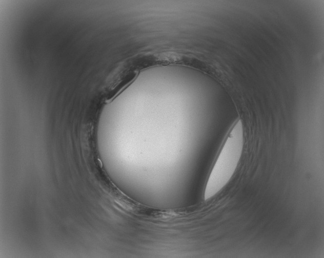 X0000051870229200506241036