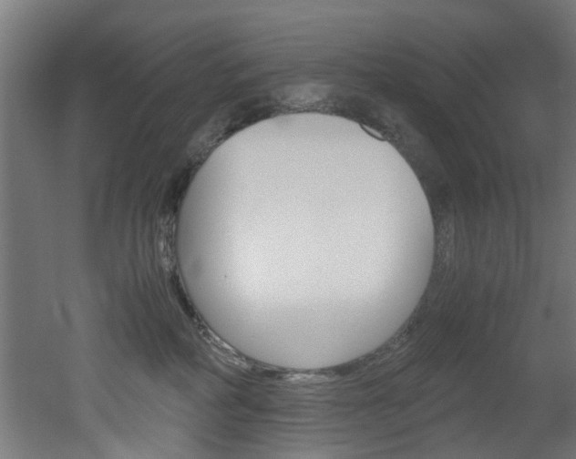 X0000051870234200506241036