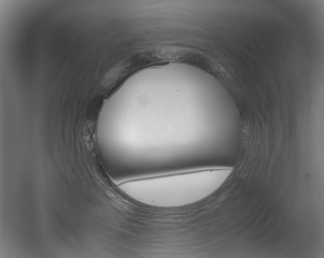X0000051870237200506241036