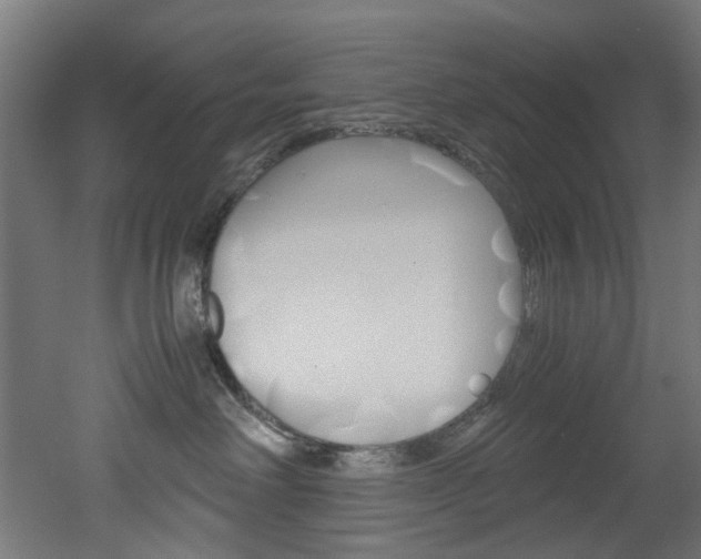 X0000051870238200506241036