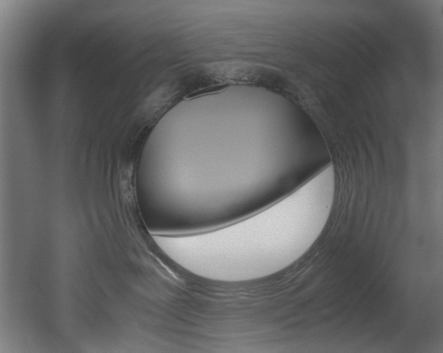 X0000051870239200506241036