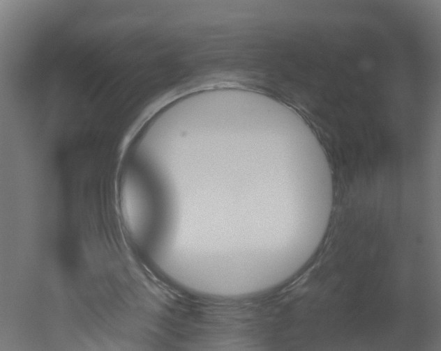 X0000051870244200506241035