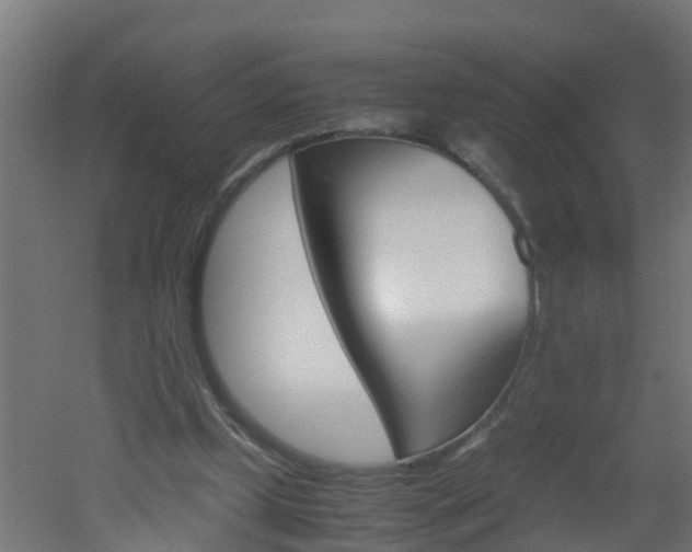 X0000051870249200506241035