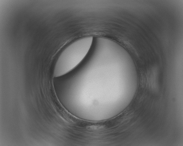 X0000051870251200506241036