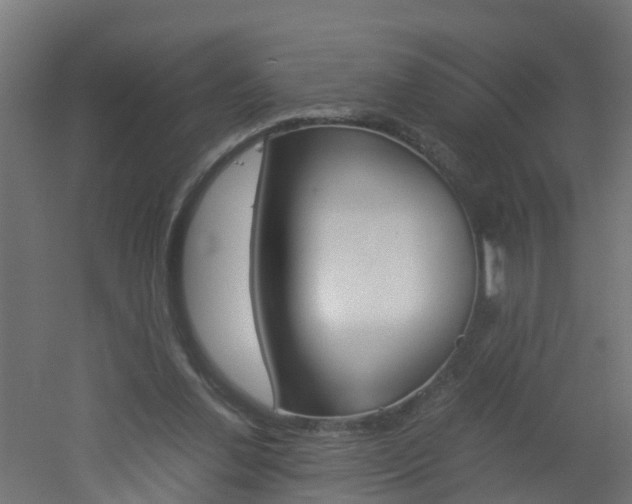 X0000051870252200506241036
