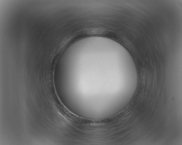 X0000051870255200506241036