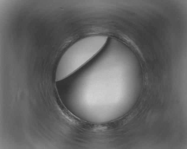 X0000051870257200506241036