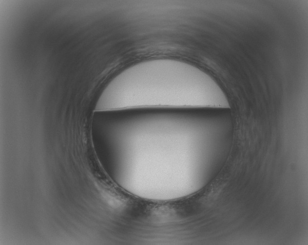 X0000051870258200506241036