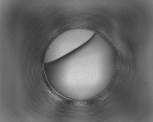 X0000051870261200506241036