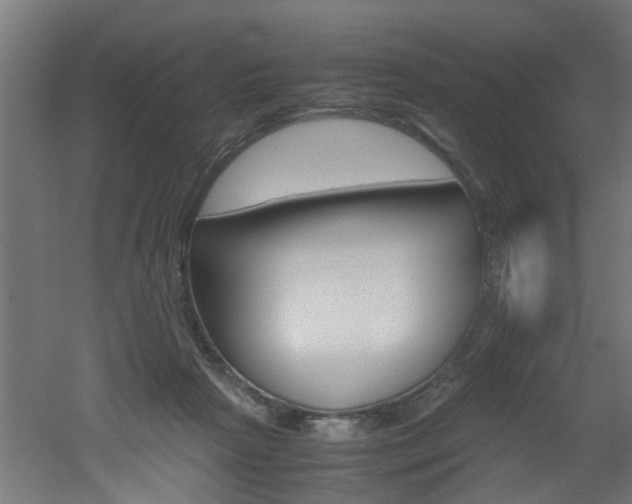 X0000051870265200506241036