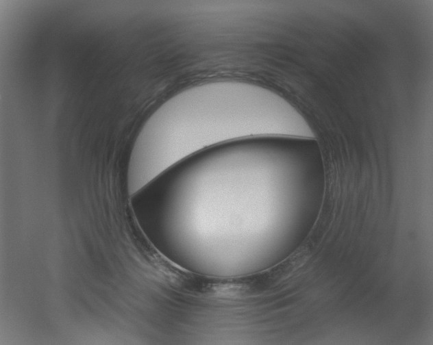 X0000051870268200506241036