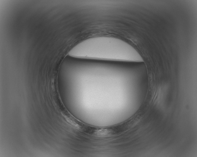 X0000051870269200506241036