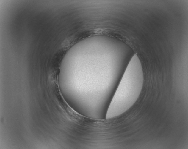 X0000051870272200506241036