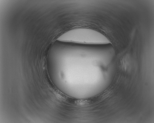 X0000051870273200506241036