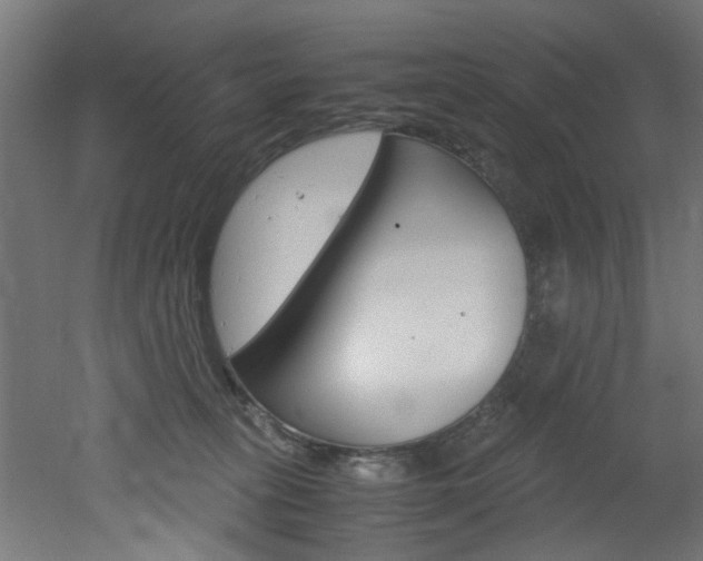 X0000051870275200506241036