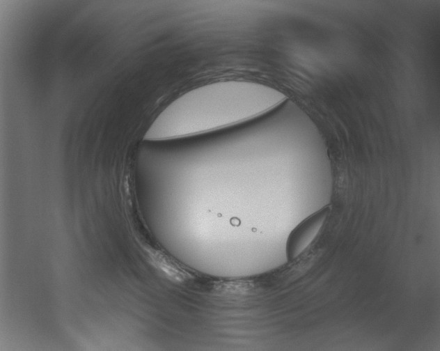 X0000051870282200506241036