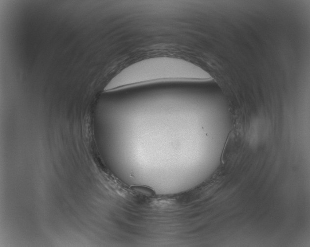 X0000051870283200506241036
