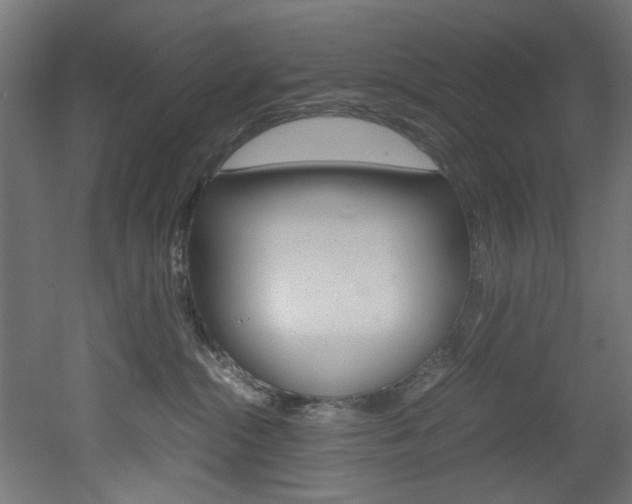 X0000051870284200506241036